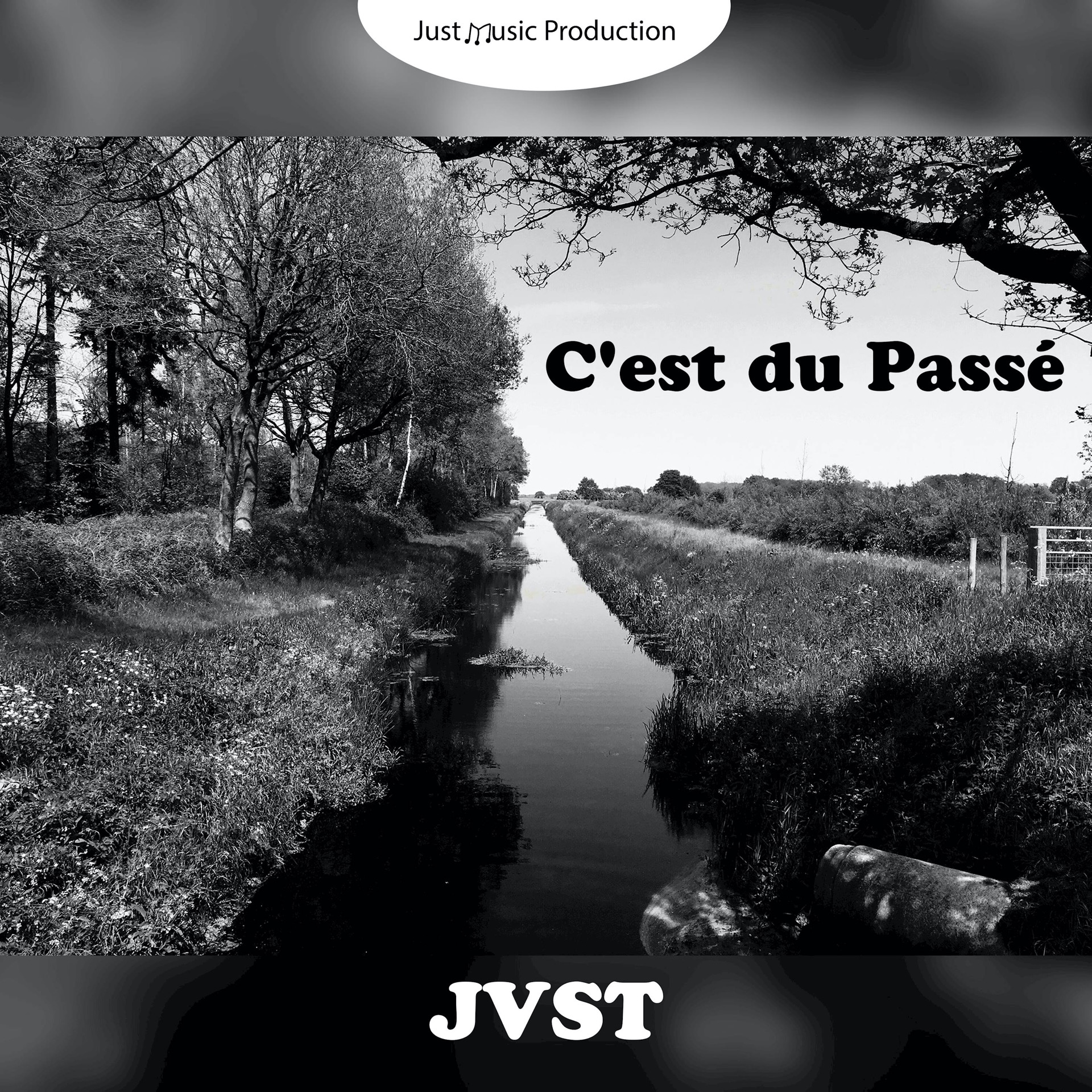 C'est du Passé - Single