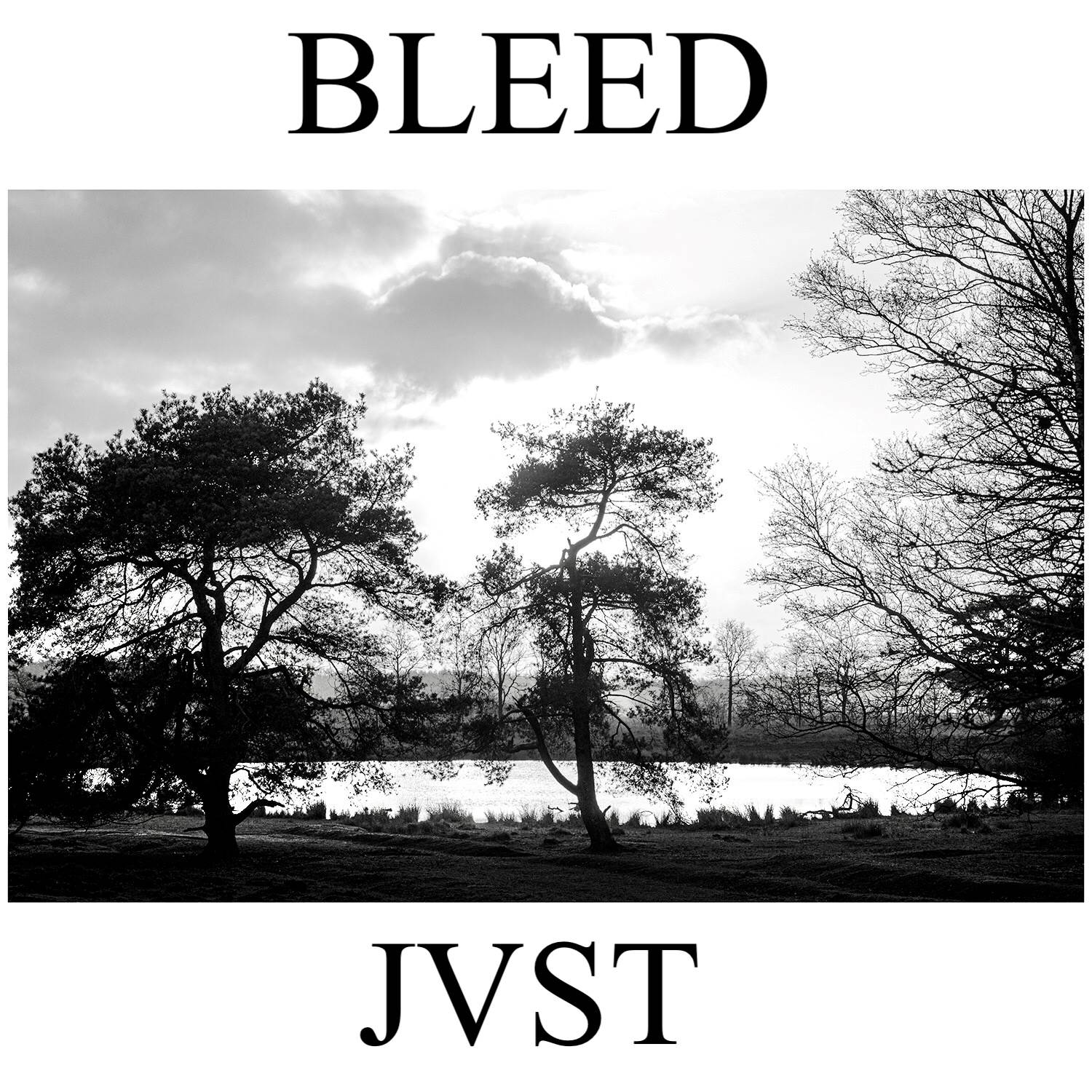Bleed - Single