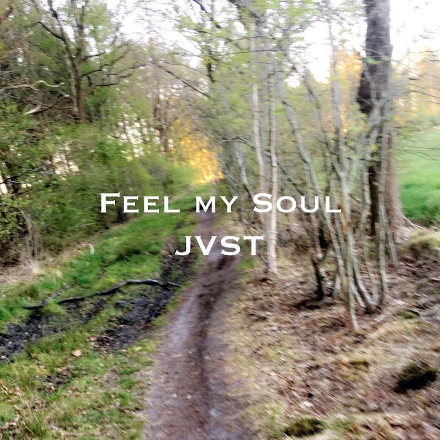 Feel my Soul - Album